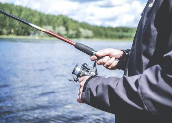 “Fly Fishing Fundamentals: Mastering the Art of Fly Fishing”