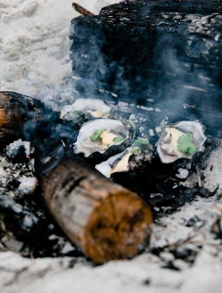 “Campfire Cuisine: Delicious Recipes for Cooking in the Wild”